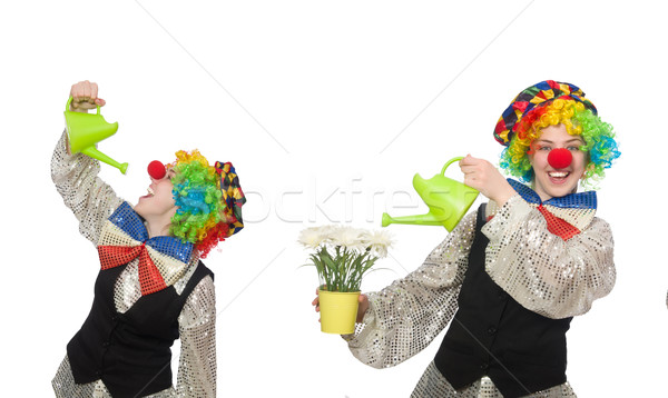 Stockfoto: Vrouwelijke · clown · gieter · geïsoleerd · witte · glimlach