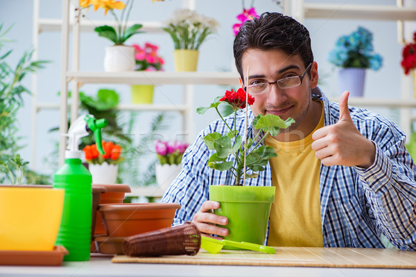Stock photo: Young man florist working in a flower shop