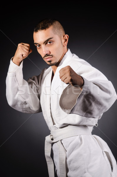 Karate arte martiale luptator sportiv corp fitness Imagine de stoc © Elnur