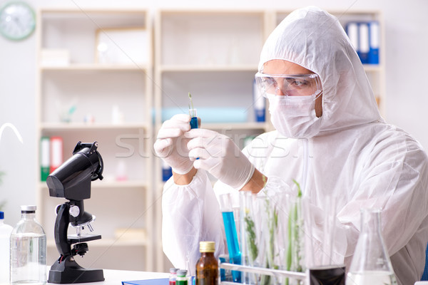 Biotechnology scientist chemist working in lab Stock photo © Elnur