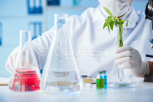 Stockfoto: Biotechnologie · wetenschapper · lab · gras · medische · technologie