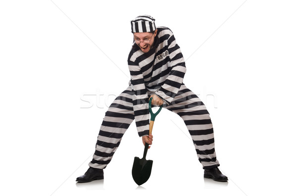 Prison inmate with spade isolated on white Stock photo © Elnur