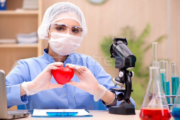 Young woman doctor working in the lab Stock photo © Elnur