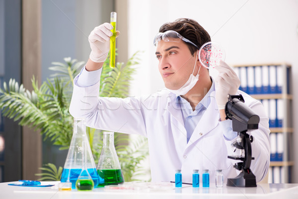 Doctor de sexo masculino de trabajo laboratorio virus vacuna hombre Foto stock © Elnur