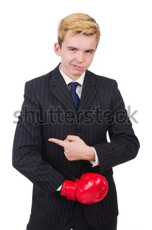 Funny boxer businessman in sport concept Stock photo © Elnur
