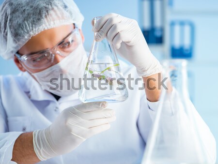 Stockfoto: Mannelijke · arts · werken · lab · virus · vaccin · man