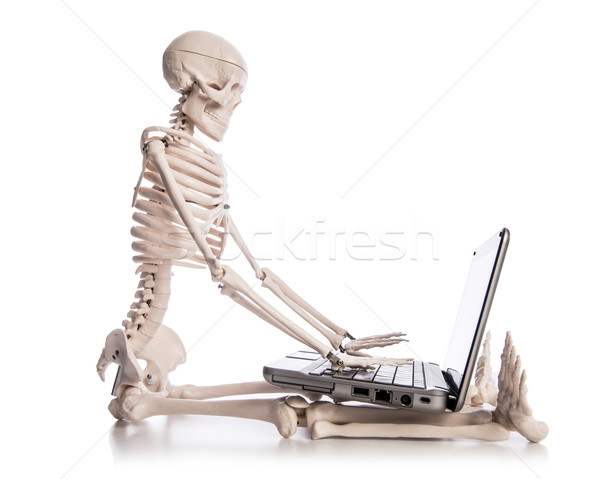 Foto stock: Esqueleto · trabalhando · laptop · negócio · tecnologia · teclado