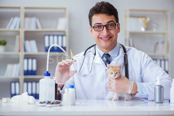 Cat visiting vet for regular checkup Stock photo © Elnur