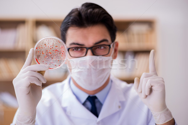 Doctor studying virus bacteria in the lab Stock photo © Elnur