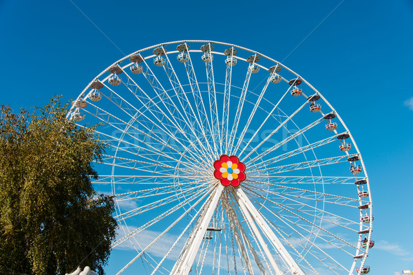 Ferris wheel in entertainment center Stock photo © Elnur