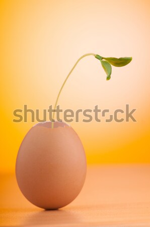 Ouă verde rasad new life primăvară ou Imagine de stoc © Elnur
