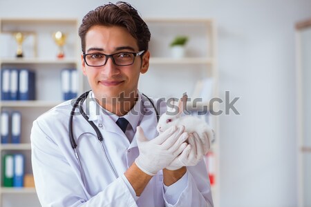 Doctor working with blood samples Stock photo © Elnur