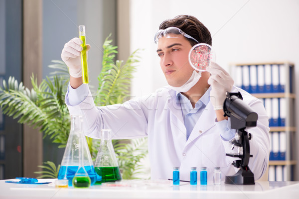 Médico do sexo masculino trabalhando lab vírus vacina homem Foto stock © Elnur