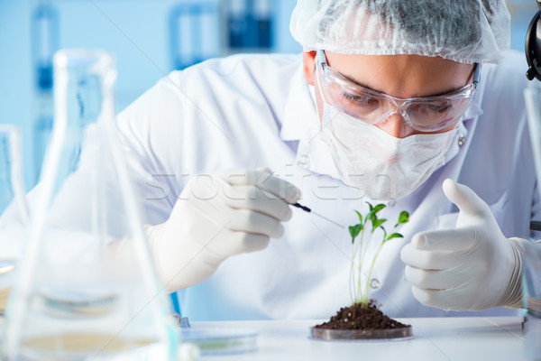 Biotehnologie om de ştiinţă laborator iarbă medical tehnologie Imagine de stoc © Elnur