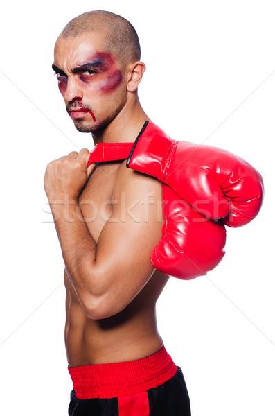 Boxer izolat alb sportiv fundal Imagine de stoc © Elnur