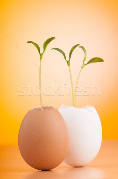 Eier grünen Sämling Frühling Ei Stock foto © Elnur