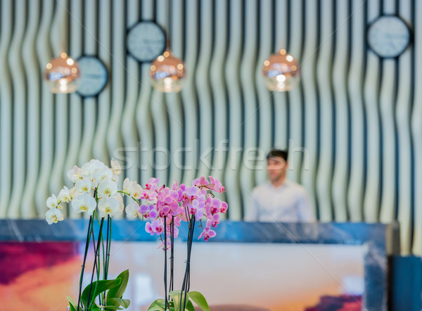 Zdjęcia stock: Hotel · lobby · nowoczesne · projektu · kwiaty · domu