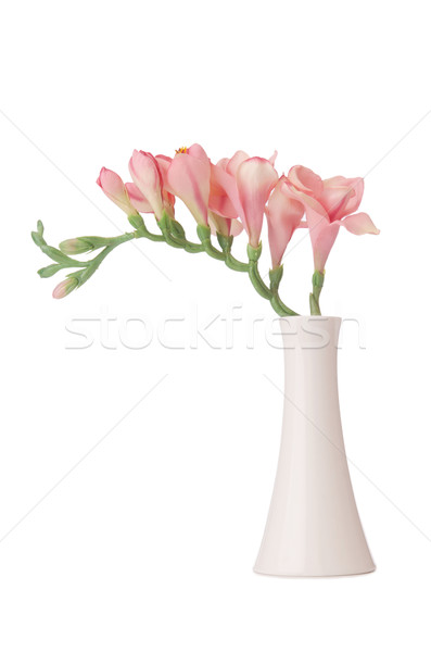 Stock photo: Vase with orchid flower isolated on white