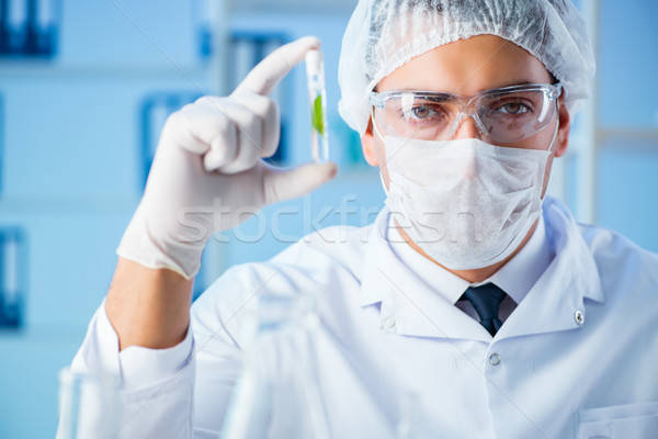 Stockfoto: Biotechnologie · wetenschapper · lab · gras · man · medische