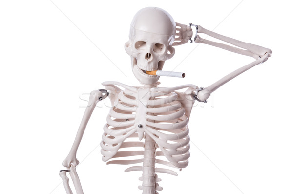 Skeleton smoking cigarette isolated on white Stock photo © Elnur
