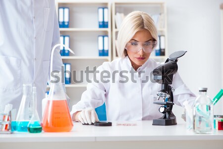 Female scientist researcher doing experiments in laboratory Stock photo © Elnur