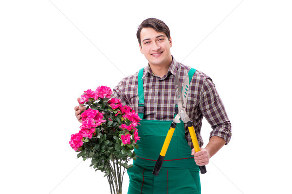 Stock photo: Young man gardener isolated on white