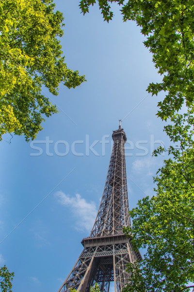 Tour Eiffel lumineuses été jour ciel ville Photo stock © Elnur