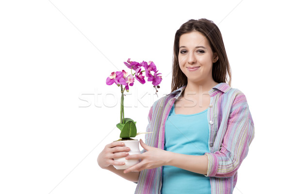 Stockfoto: Jonge · vrouw · zorg · planten · geïsoleerd · witte