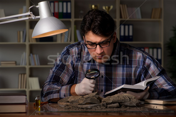 Archeologist working late night in office Stock photo © Elnur