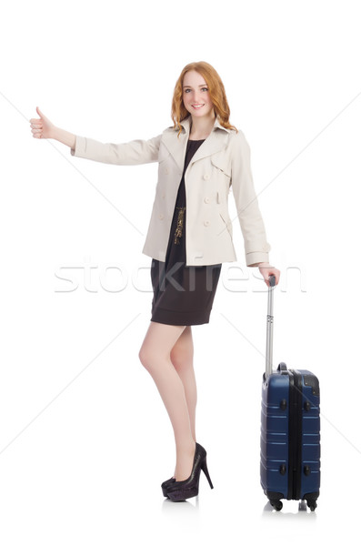 Travel vacation concept with luggage on white Stock photo © Elnur