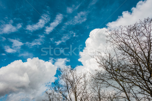 Cloudscape of bright blue sky Stock photo © Elnur
