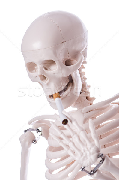 Skeleton smoking cigarette isolated on white Stock photo © Elnur