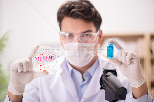 Stockfoto: Mannelijke · arts · werken · lab · virus · vaccin · man