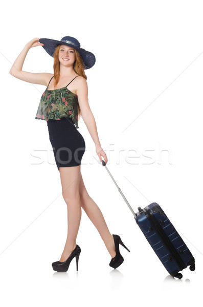 Travel vacation concept with luggage on white Stock photo © Elnur