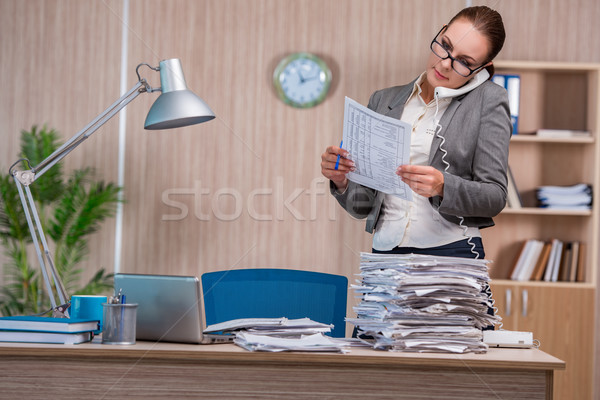 Kobieta interesu pracy biuro komputera kobieta papieru Zdjęcia stock © Elnur