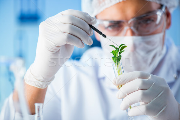 Biotechnology concept with scientist in lab Stock photo © Elnur