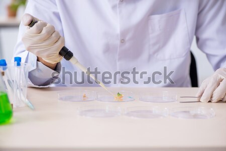 Medico di sesso maschile lavoro Lab virus vaccino medico Foto d'archivio © Elnur