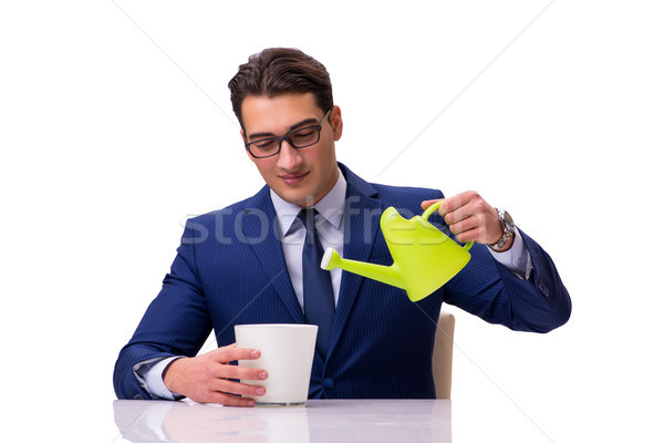 Stock photo: Businessman with watering can isolated on white