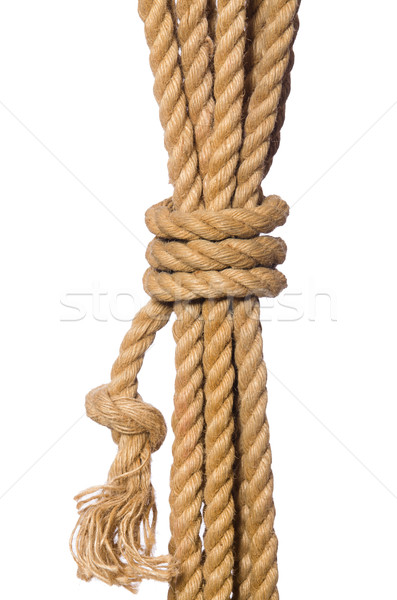 веревку изолированный белый кабеля шаблон объект Сток-фото © Elnur