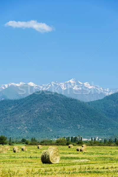 Summer landscape with mountains in Azerbaijan Stock photo © Elnur