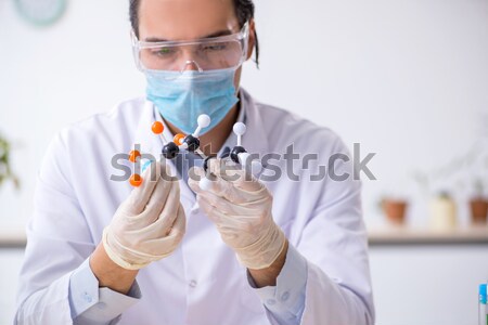 Young doctor working on blood test in lab hospital Stock photo © Elnur
