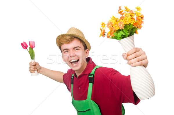 增加至燈箱 商業照片 #6526840young gardener with flower isolated