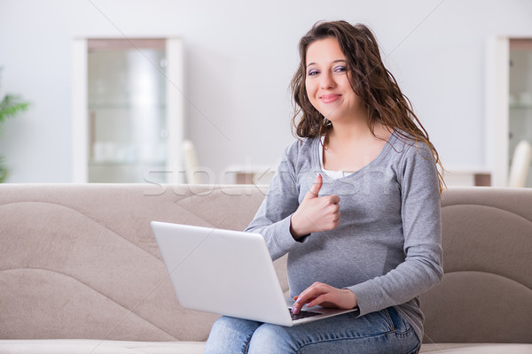 The pregnant woman working on laptop sitting on sofa Stock photo © Elnur