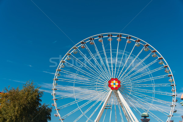 Ferris wheel in entertainment center Stock photo © Elnur