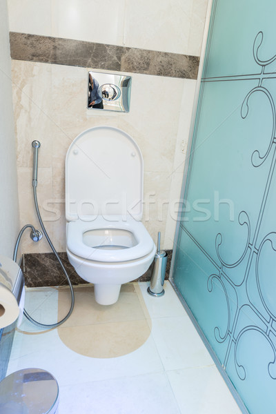 Modern belső fürdőszoba wc terv otthon Stock fotó © Elnur