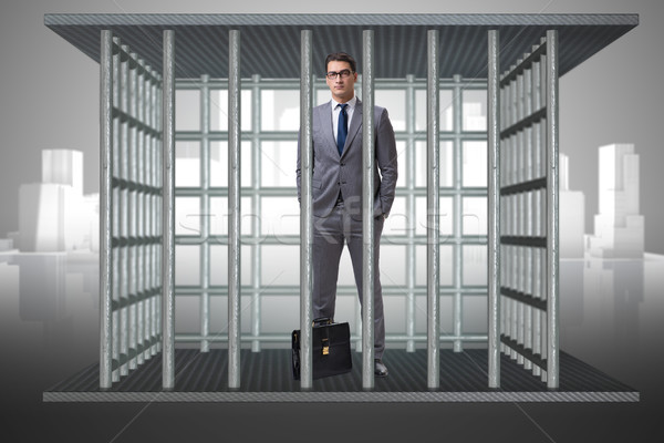 Businessman in the cage business concept Stock photo © Elnur