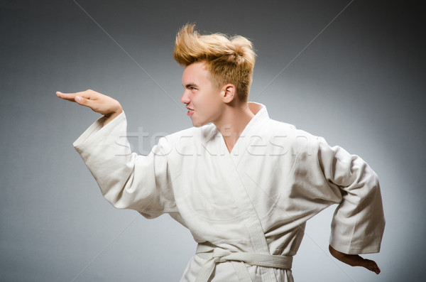 Vicces karate vadászrepülő visel fehér kimonó Stock fotó © Elnur
