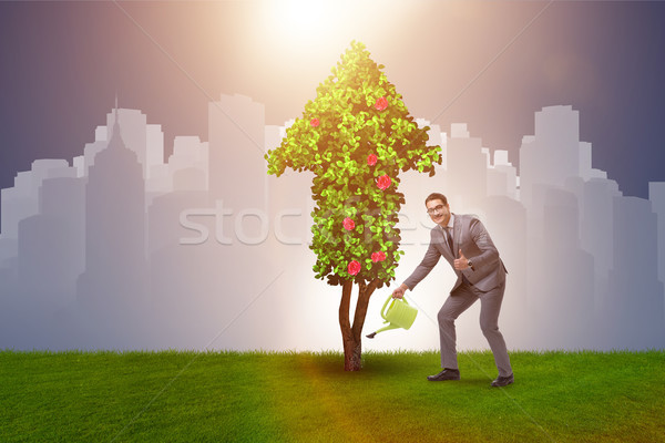 Om de afaceri durabila verde dezvoltare afaceri copac Imagine de stoc © Elnur