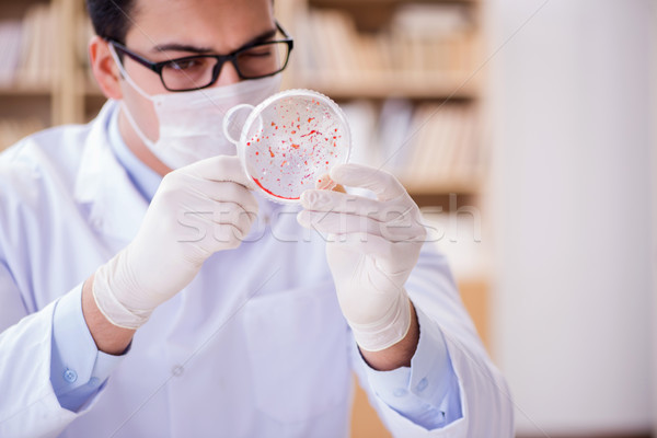 Stok fotoğraf: Doktor · eğitim · virüs · bakteriler · laboratuvar · teknoloji
