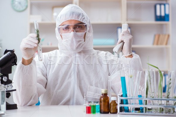 The biotechnology scientist chemist working in lab Stock photo © Elnur